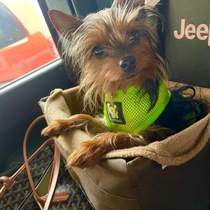 Meet your Posher, Sarah